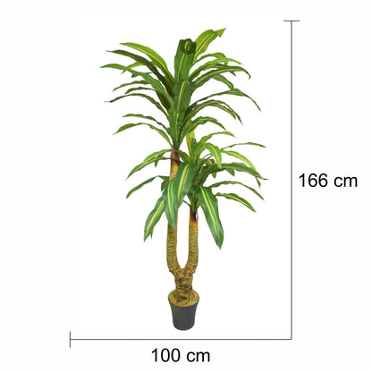 Copac  artificial, Dracaena fara ghiveci, Naimeed D5612, 166x100 cm, Verde/Galben
