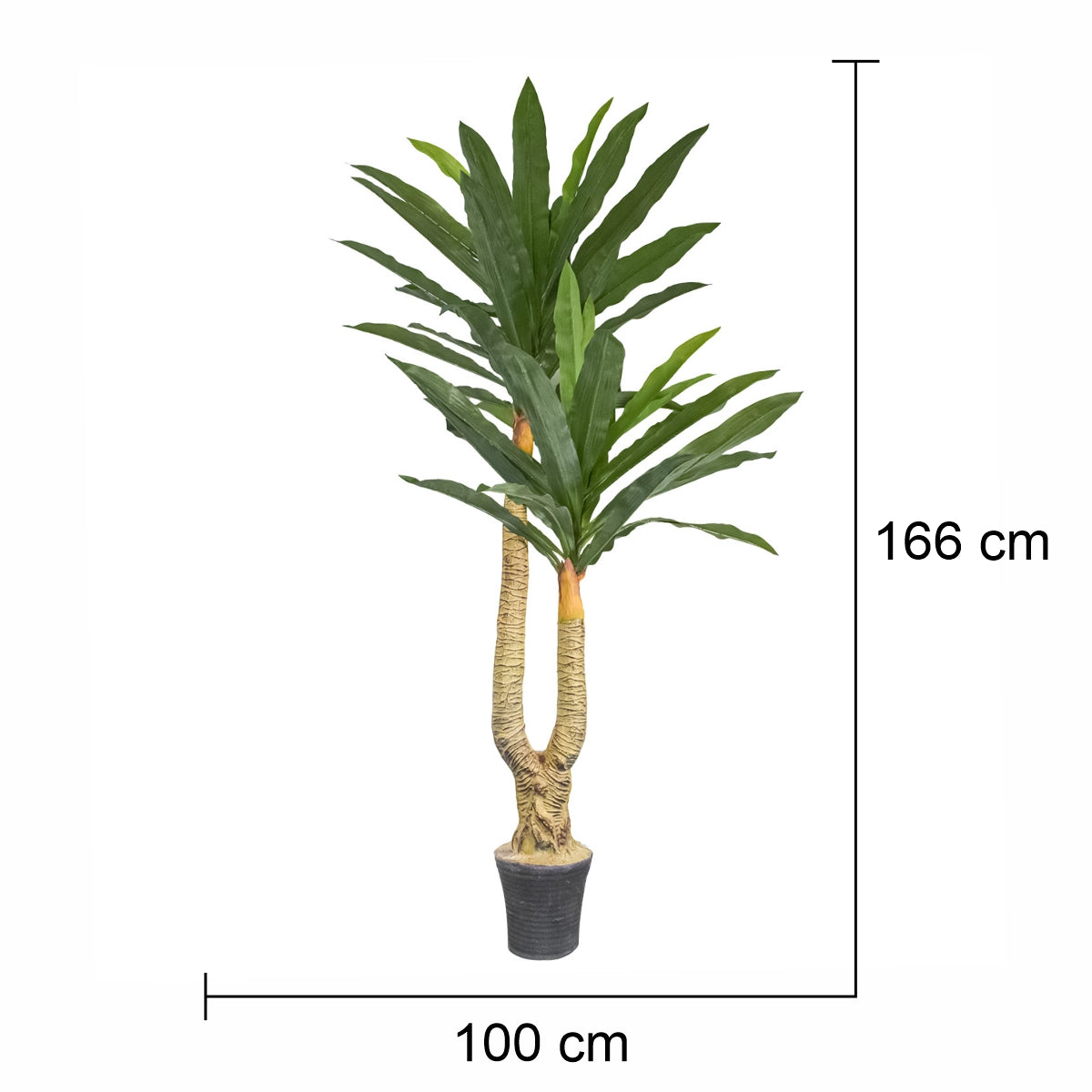 Copac  artificial, Dracaena fara ghiveci, Naimeed D5612, 166x100 cm, Verde