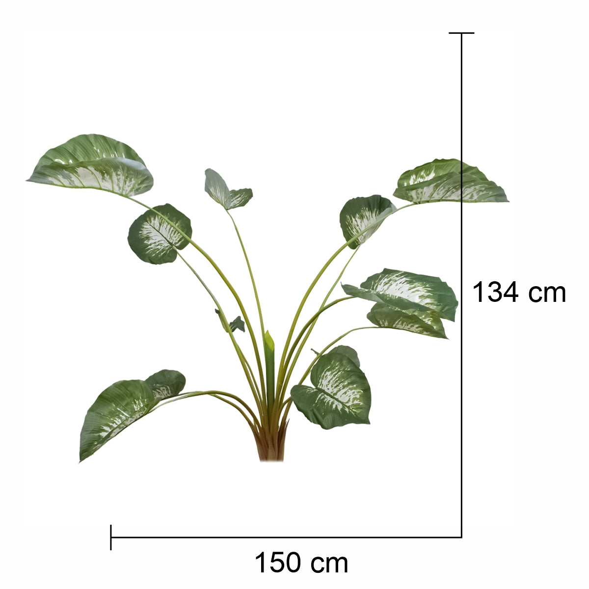 Planta artificiala, Caladium fara ghiveci, Naimeed D5614, 134x150 cm, Verde