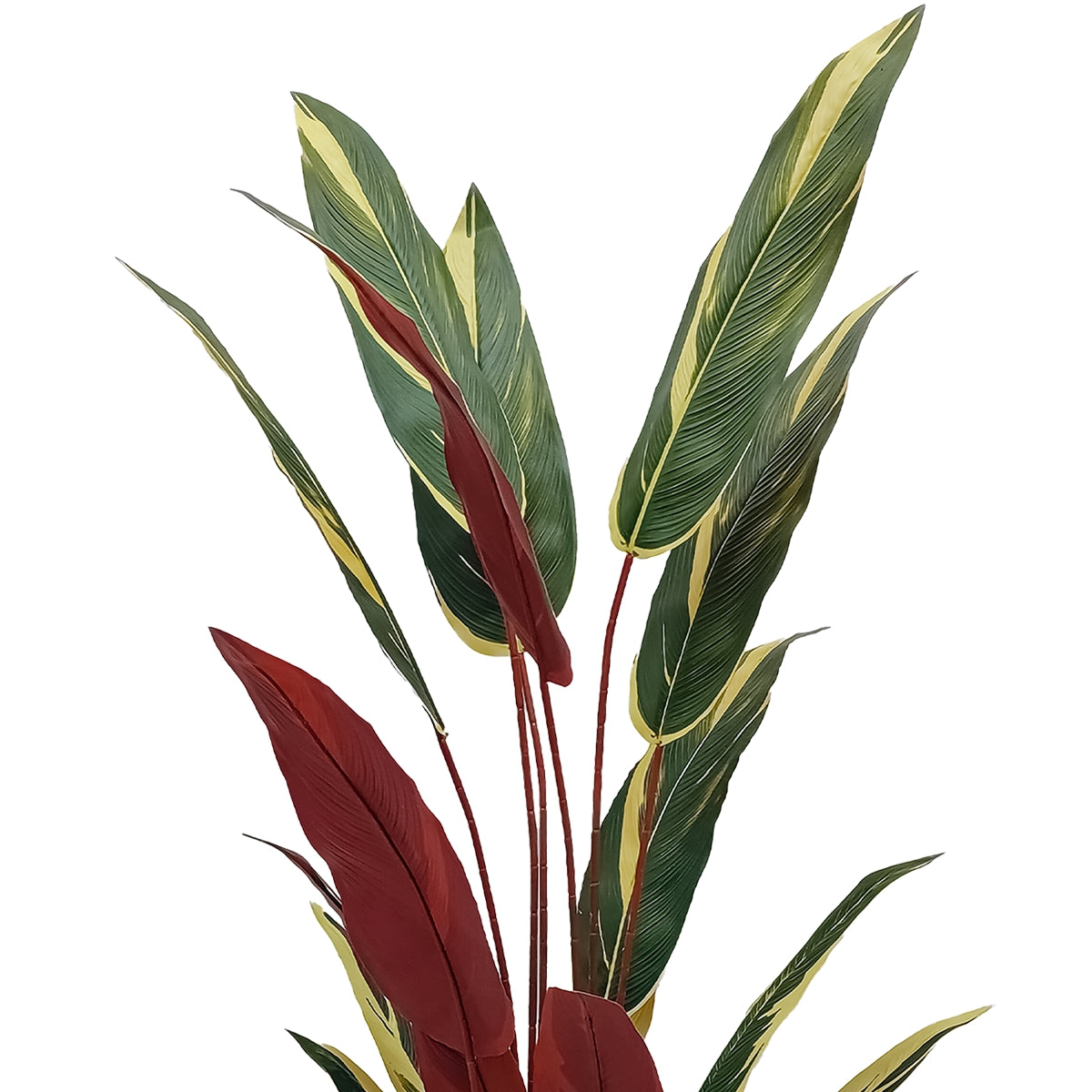 Planta artificiala, Stromanthe Sanguinea fara ghiveci, Naimeed D5619, 140x30 cm, Galben