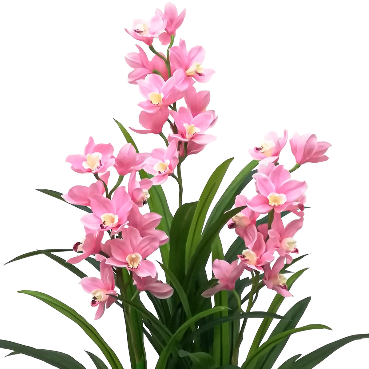Floare artificiala, Orhidee barca fara ghiveci, Naimeed D5620, 120x100 cm, Roz