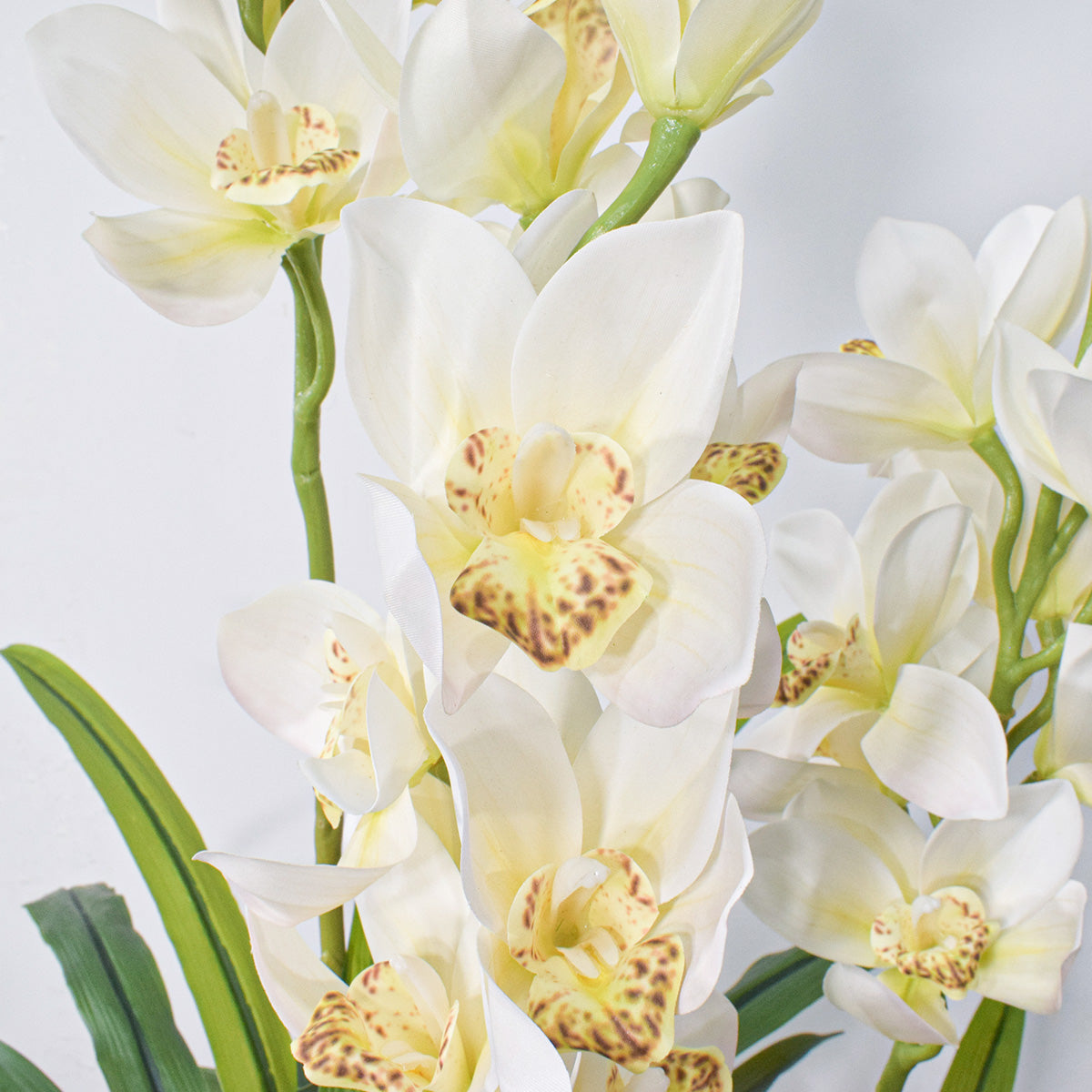 Floare artificiala, Orhidee molie fara ghiveci, Naimeed D5621, 100x84 cm, Alb
