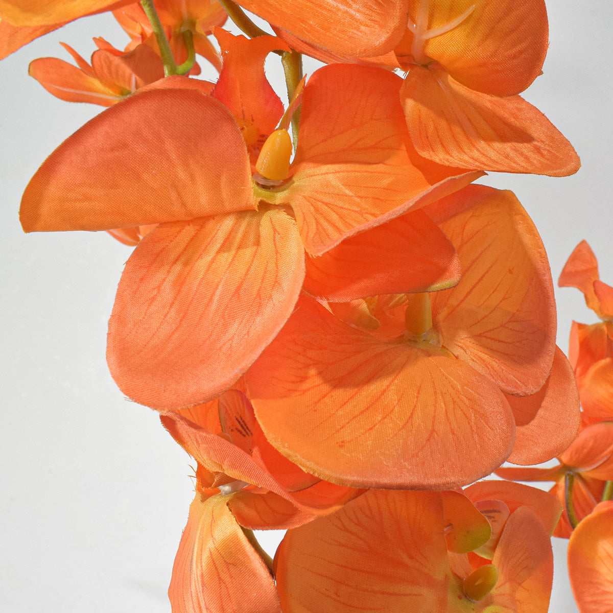 Floare artificiala, Orhidee Molie fara ghiveci, Naimeed D5621, 100x84 cm, Portocaliu