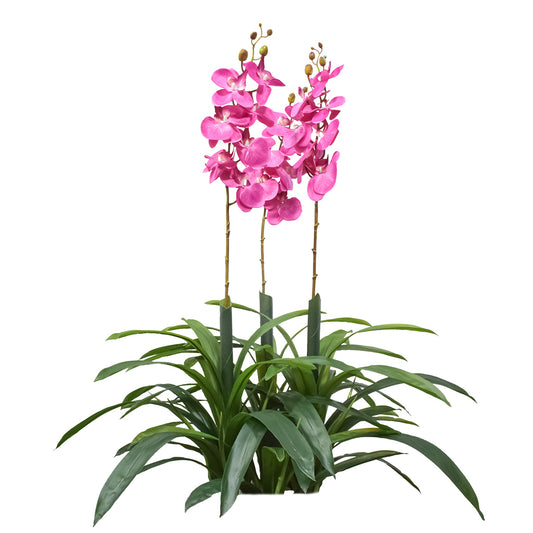 Floare artificiala, Orhidee molie fara ghiveci, Naimeed D5621, 100x84 cm, Roz