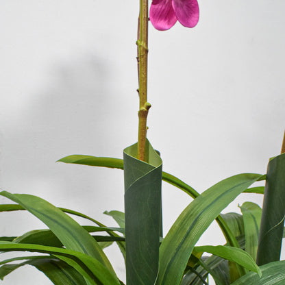 Floare artificiala, Orhidee molie fara ghiveci, Naimeed D5621, 100x84 cm, Roz