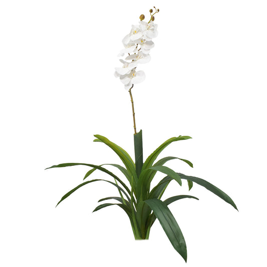 Floare artificiala, Orhidee fara ghiveci, Naimeed D5623, 105x60 cm, Alb