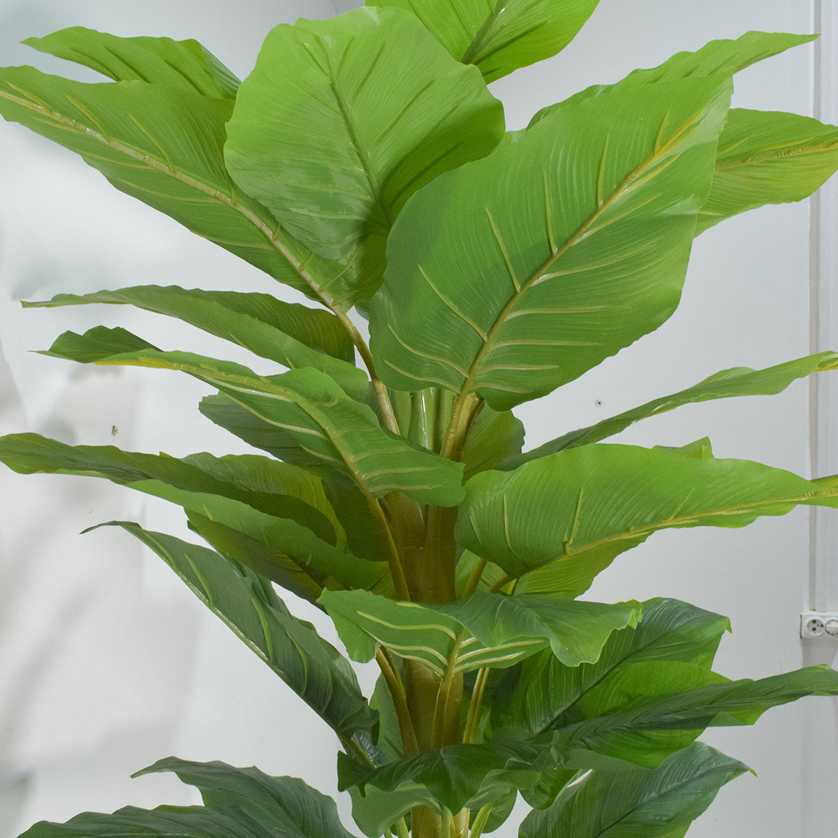 Copac artificial, Banan Japonez fara ghiveci, Naimeed D5641, 180x96 cm, Verde