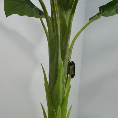 Copac artificial, Banan Japonez fara ghiveci, Naimeed D5641, 180x96 cm, Verde