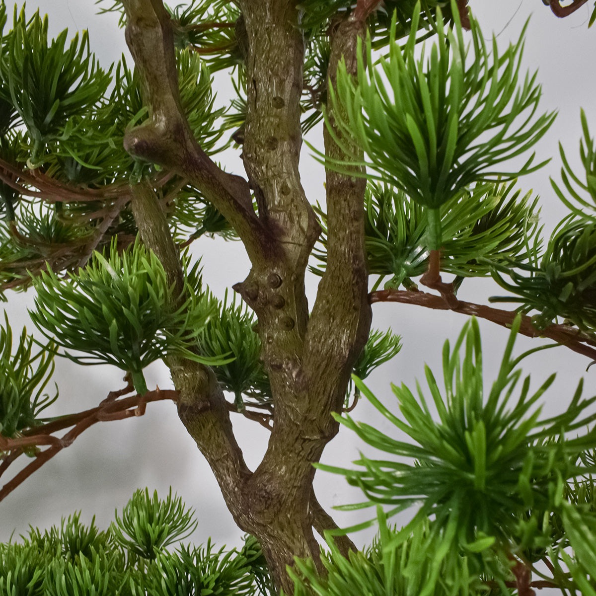 Copac artificial, Bonsai Pin fara ghiveci, Naimeed D5646, 163x80 cm, Verde