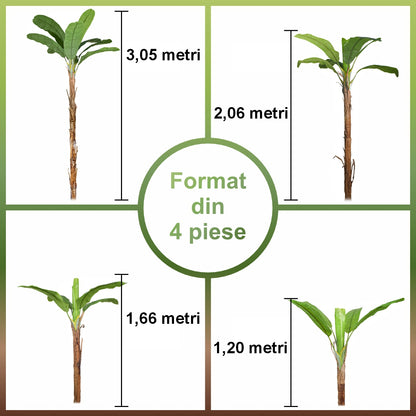 Copac artificial, Banan Musa fara ghiveci, Naimeed D5649, 305x120 cm, Verde