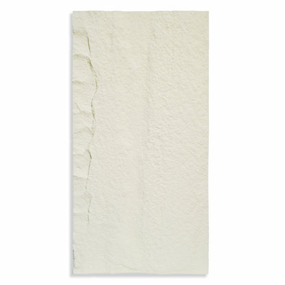 Set 10 x Panou Decorativ 3D, Naimeed D5739, ultrausor, design elegant, PU, 120 x 60 x 3 cm, Crem deschis