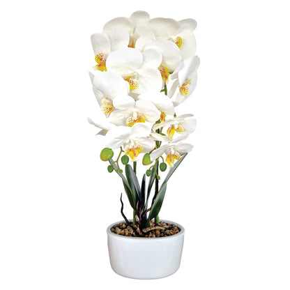 Orhidee cu aspect natural in ghiveci ceramic, 50 cm, Naimeed D5819, Alb