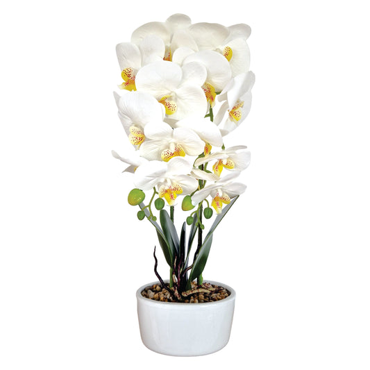 Orhidee cu aspect natural in ghiveci ceramic, 50 cm, Naimeed D5819, Alb