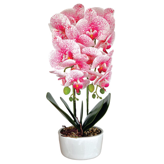 Orhidee cu aspect natural in ghiveci ceramic, 50 cm, Naimeed D5819, Roz
