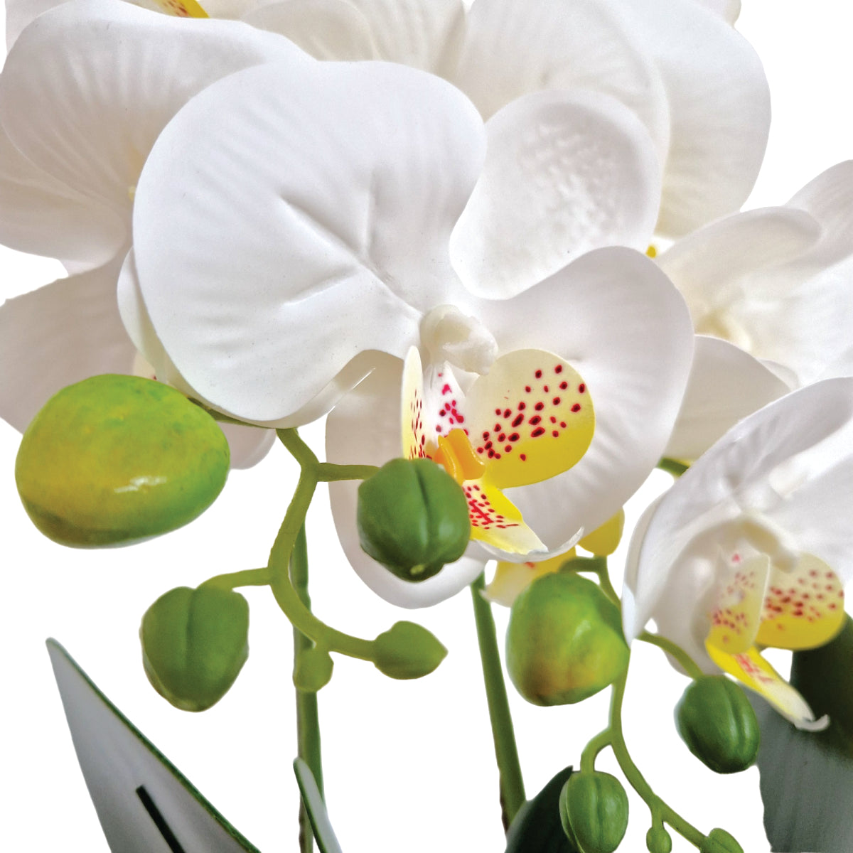 Orhidee cu aspect natural in ghiveci ceramic, 50 cm, Naimeed D5819, Alb