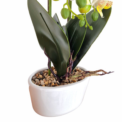 Orhidee cu aspect natural in ghiveci ceramic, 50 cm, Naimeed D5819, Alb