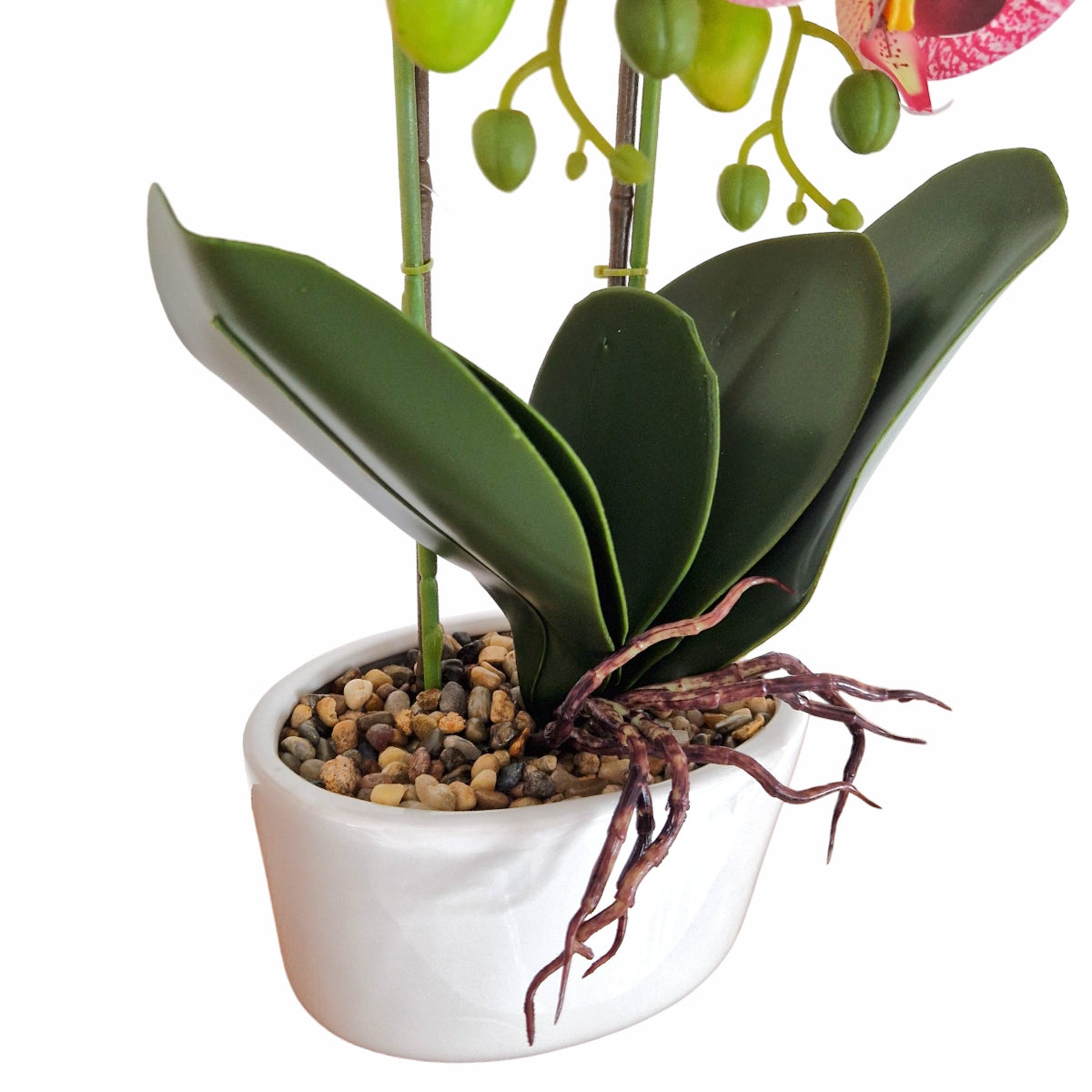 Orhidee cu aspect natural in ghiveci ceramic, 50 cm, Naimeed D5819, Mov