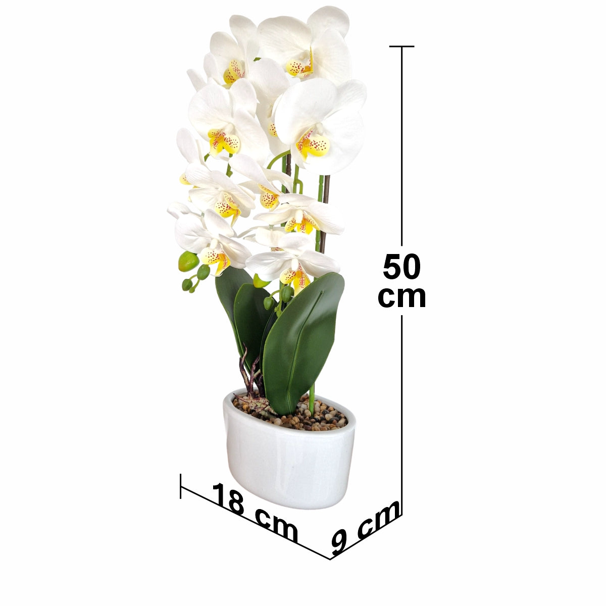 Orhidee cu aspect natural in ghiveci ceramic, 50 cm, Naimeed D5819, Alb