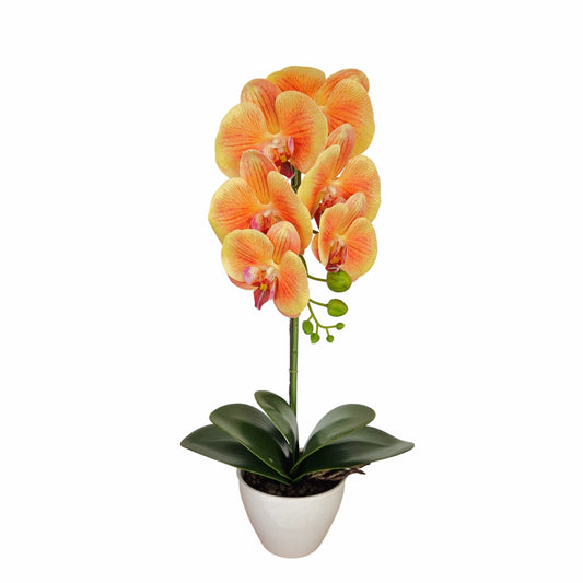 Orhidee cu aspect natural in ghiveci ceramic, 46 cm, Naimeed D5820, Portocaliu
