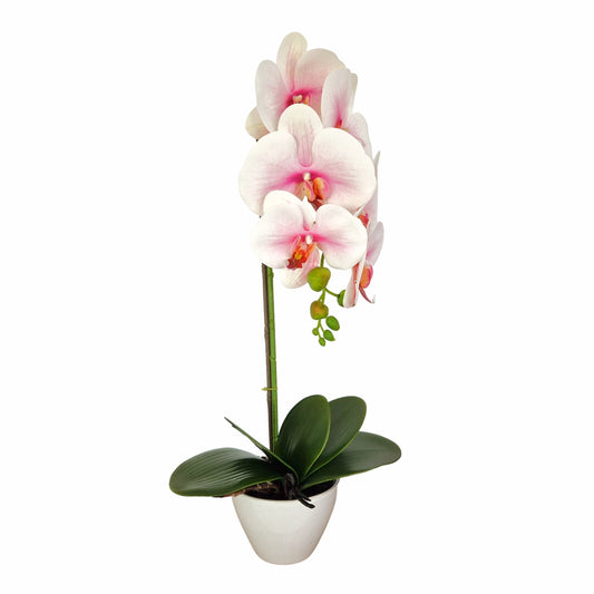 Orhidee cu aspect natural in ghiveci ceramic, 46 cm, Naimeed D5820, Alb Roziu