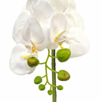 Orhidee cu aspect natural in ghiveci ceramic, 46 cm, Naimeed D5820, Alb