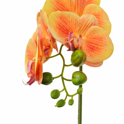 Orhidee cu aspect natural in ghiveci ceramic, 46 cm, Naimeed D5820, Portocaliu
