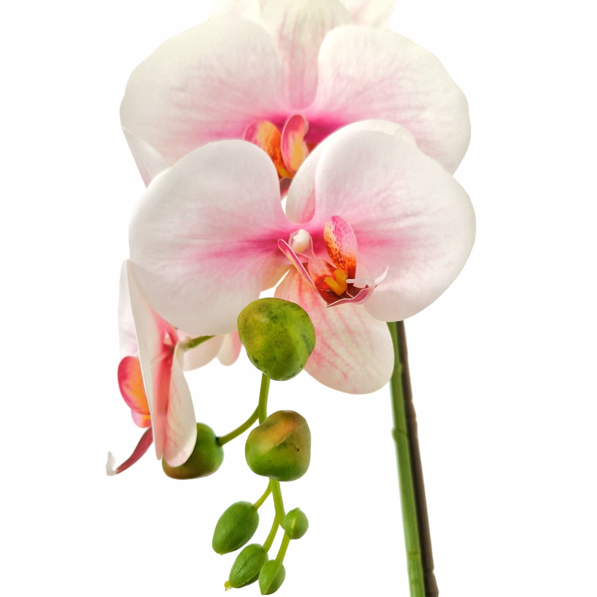 Orhidee cu aspect natural in ghiveci ceramic, 46 cm, Naimeed D5820, Alb Roziu