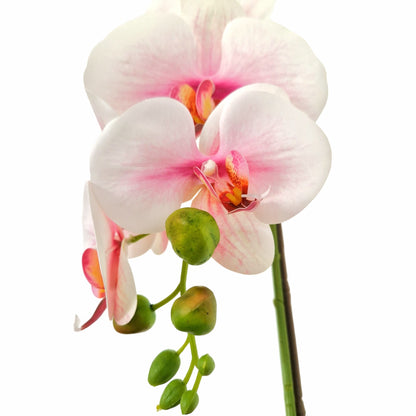 Orhidee cu aspect natural in ghiveci ceramic, 46 cm, Naimeed D5820, Alb Roziu