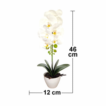 Orhidee cu aspect natural in ghiveci ceramic, 46 cm, Naimeed D5820, Alb
