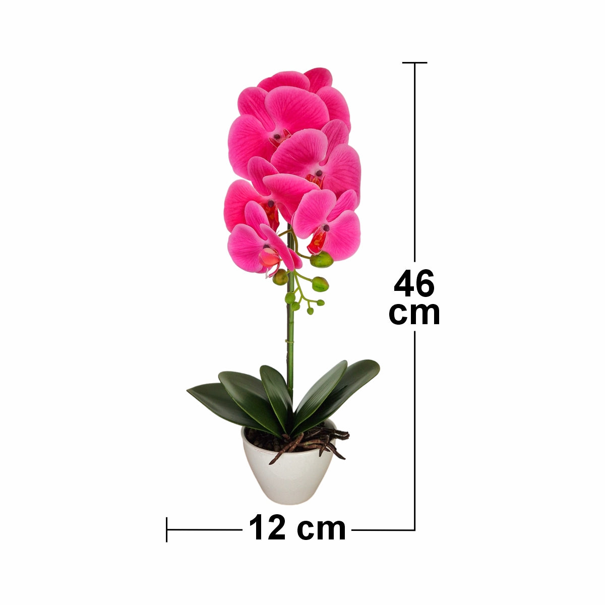 Orhidee cu aspect natural in ghiveci ceramic, 46 cm, Naimeed D5820, Mov