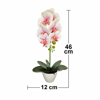 Orhidee cu aspect natural in ghiveci ceramic, 46 cm, Naimeed D5820, Alb Roziu