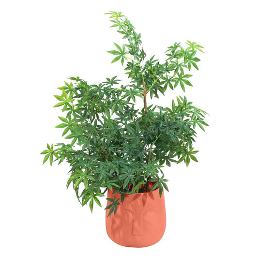 Ghiveci ecologic, Eco-friendly, Naimeed D6355, Mic, din materiale minerale, Portocaliu, 28x25x25cm
