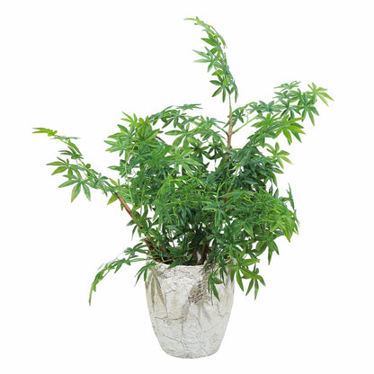 Ghiveci ecologic, Eco-friendly, Naimeed D6356, Mediu, din materiale minerale, Bej, 40x35x35cm