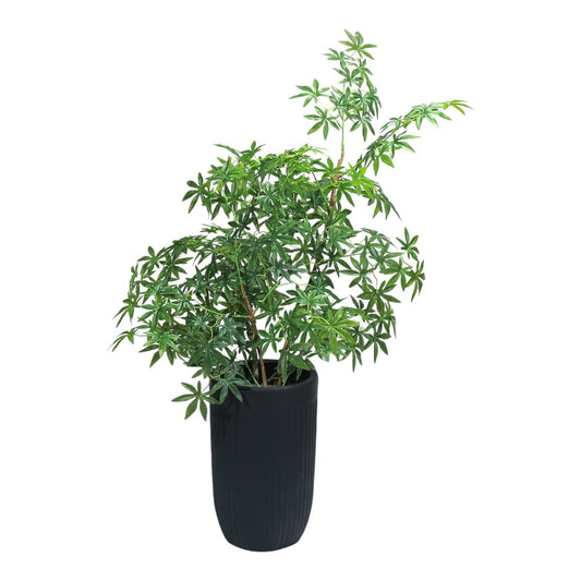 Ghiveci ecologic, Eco-friendly, Naimeed D6359, Mare, din materiale minerale, Negru, 48x40x40cm