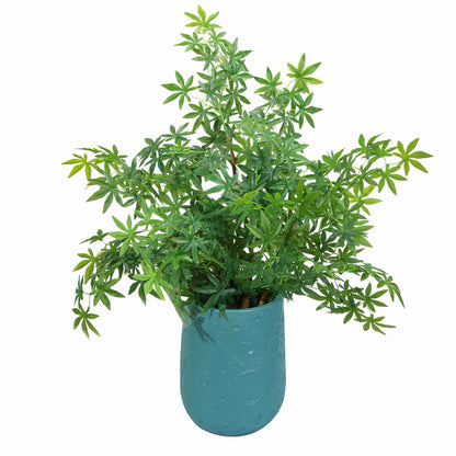 Ghiveci ecologic, Eco-friendly, Naimeed D6375, Mic, din materiale minerale, Turcoaz, 39x29x29cm