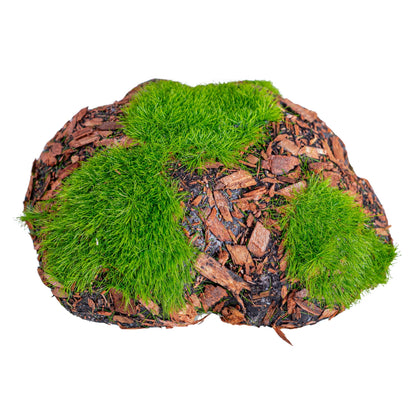 Set 6 x Pietre decorative din polistiren, aspect natural, usor de curatat, Naimeed D6529
