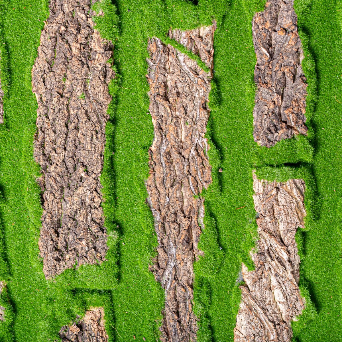 Covor muschi artificial de padure, Naimeed D6534, pentru decorare interioara sau exterioara, Verde, 1000x1000x20mm