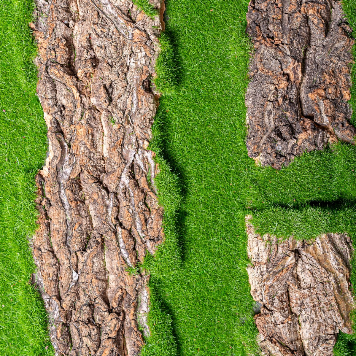 Covor muschi artificial de padure, Naimeed D6534, pentru decorare interioara sau exterioara, Verde, 1000x1000x20mm