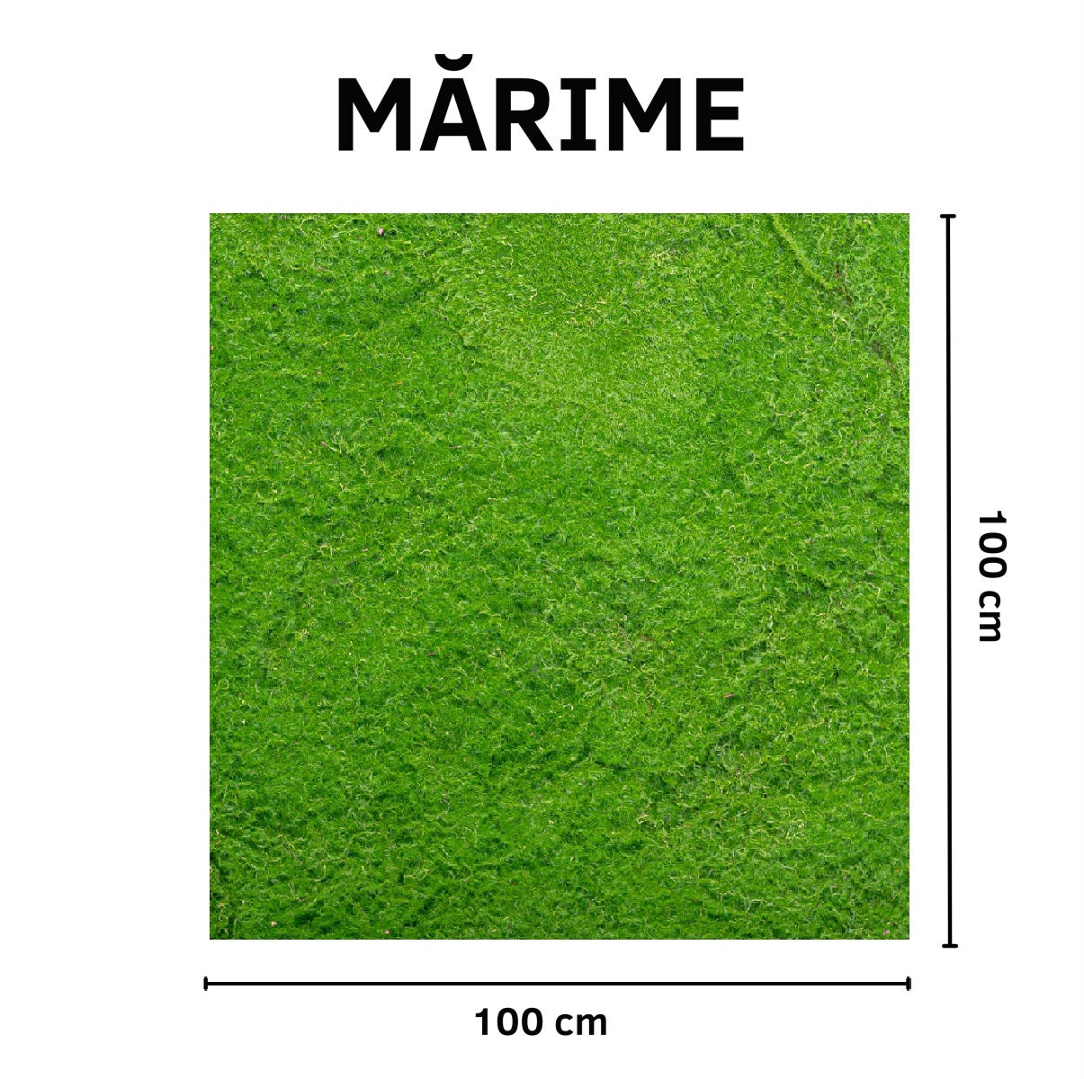 Covor muschi artificial de padure, Naimeed D6538, pentru decorare interioara sau exterioara, Verde, 1000x1000x20mm
