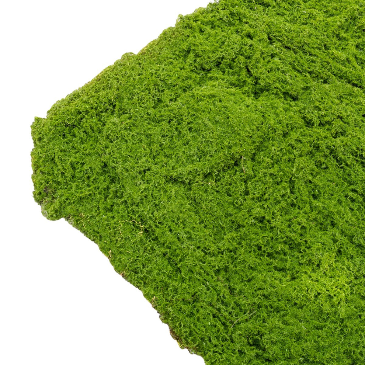 Covor muschi artificial de padure, Naimeed D6538, pentru decorare interioara sau exterioara, Verde, 1000x1000x20mm