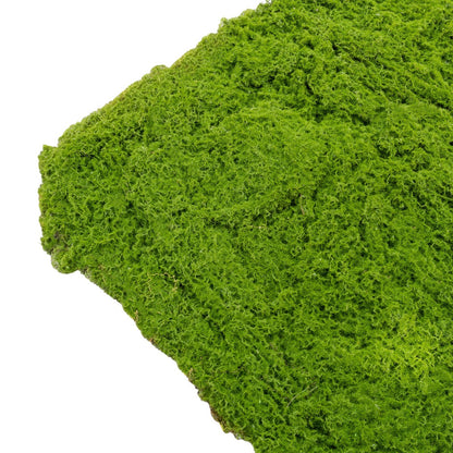Covor muschi artificial de padure, Naimeed D6538, pentru decorare interioara sau exterioara, Verde, 1000x1000x20mm
