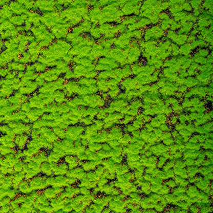 Covor muschi artificial de padure, Naimeed D6539, pentru decorare interioara sau exterioara, Verde, 1000x1000x30mm