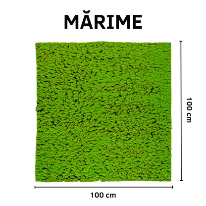 Covor muschi artificial de padure, Naimeed D6539, pentru decorare interioara sau exterioara, Verde, 1000x1000x30mm
