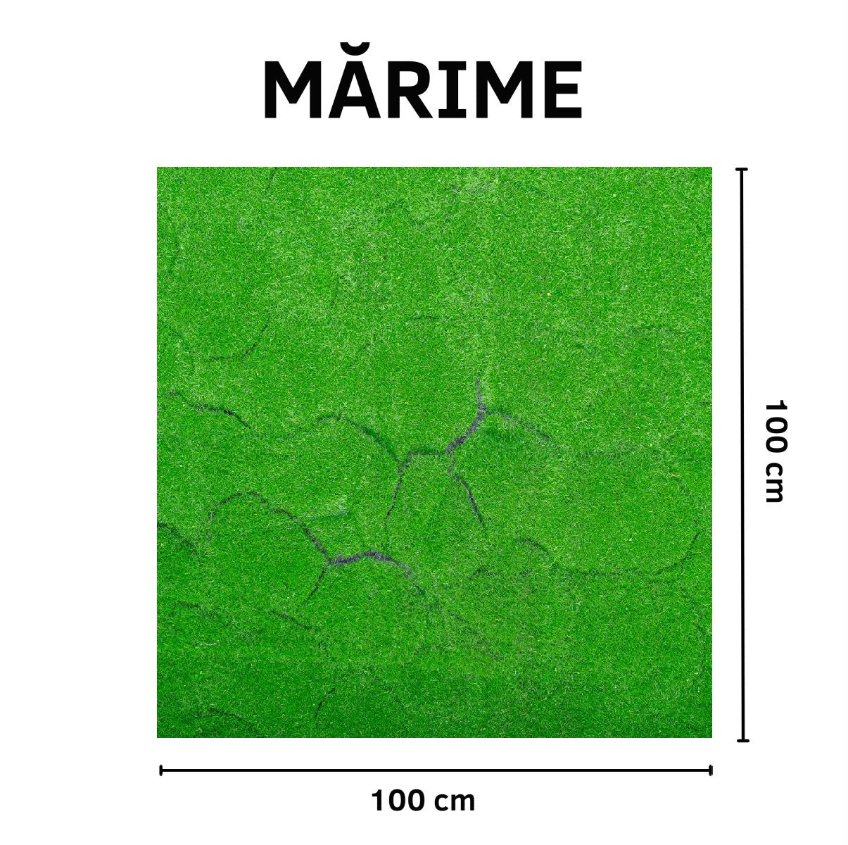 Covor muschi artificial de padure, Naimeed D6540, pentru decorare interioara sau exterioara, Verde, 1000x1000x20mm