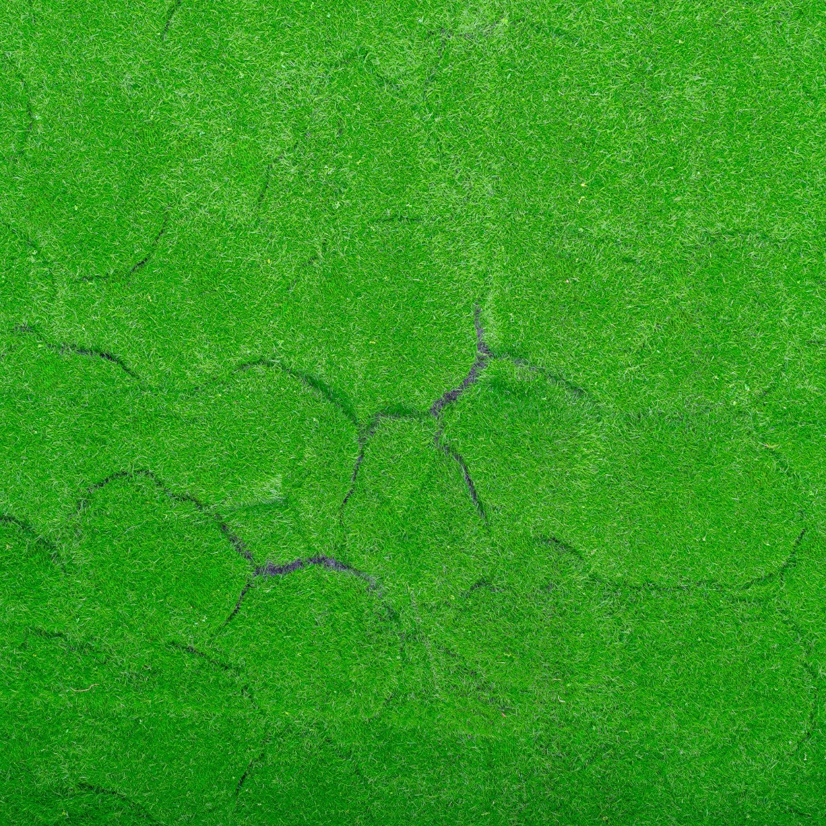 Covor muschi artificial de padure, Naimeed D6540, pentru decorare interioara sau exterioara, Verde, 1000x1000x20mm