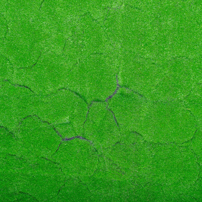 Covor muschi artificial de padure, Naimeed D6540, pentru decorare interioara sau exterioara, Verde, 1000x1000x20mm