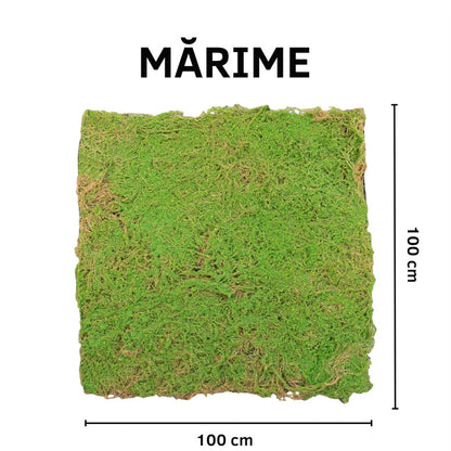Covor muschi artificial de padure, Naimeed D6541, pentru decorare interioara sau exterioara, Verde, 1000x1000x20mm