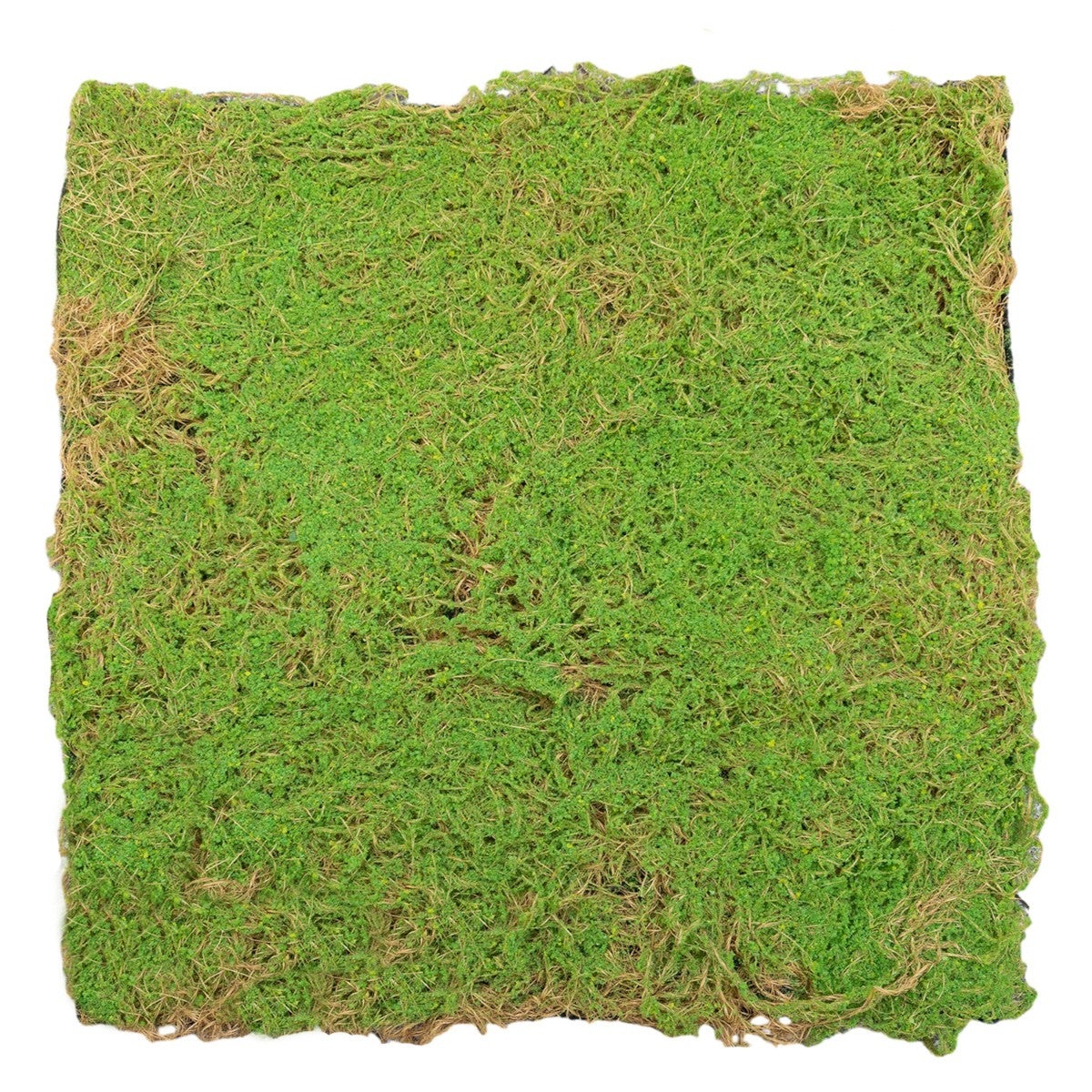 Covor muschi artificial de padure, Naimeed D6541, pentru decorare interioara sau exterioara, Verde, 1000x1000x20mm
