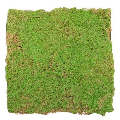 Covor muschi artificial de padure, Naimeed D6541, pentru decorare interioara sau exterioara, Verde, 1000x1000x20mm