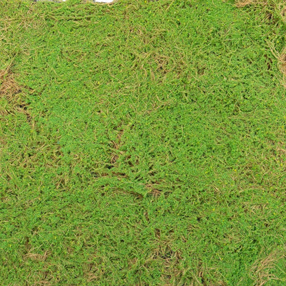 Covor muschi artificial de padure, Naimeed D6541, pentru decorare interioara sau exterioara, Verde, 1000x1000x20mm